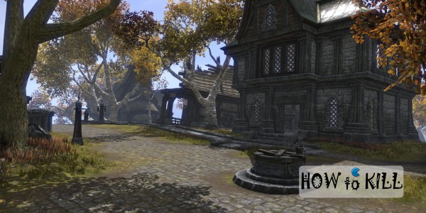 The Elder Scrolls Online